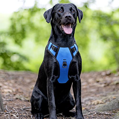 Safety LED Dog Harness - Light Up Dog Vest, No-Pull Dog Harness - Rechargeable Glowing Pet Harness for Night Walking & Camping (Blue+Green Light, Medium) - color: Blue+Green Light, size: Medium