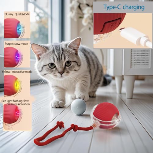 KumCinn Interactive Dog Ball for Small Medium Dogs, Automatic Self Moving Cat Toys Ball for Indoor Cats, 360° Rolling Electric Pet Ball, Fast Smart Motion Activated Toy (Pink) - color: PINK