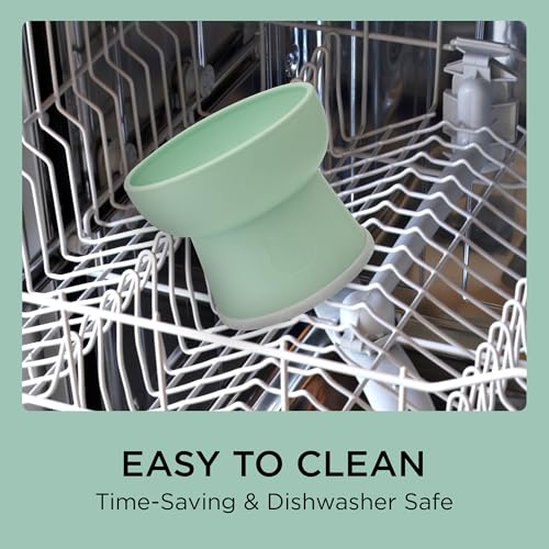 Necoichi 2pcs Elevated Cat Water Bowls with Measurement – BPA-Free Plastic Raised Bowls to Reduce Whisker & Neck Fatigue – Dishwasher Safe – Non-Slip, Anti-Vomiting (Ocean Mist) - color: Blue Green and Green (Ocean Mist)