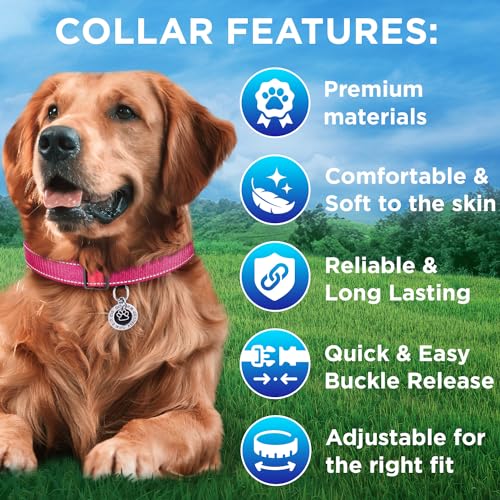 TECEUM Reflective Dog Collar – Hot Pink – M – Extra Soft Padding – Basic Nylon Pet Collar – Quick Release Buckle – Fits Small, Medium and Large Dogs, Puppies, Cats – ESA & Service Dog Options - color: Hot Pink, size: Medium