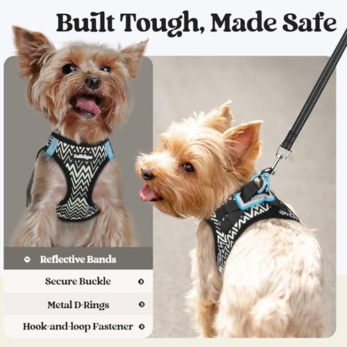 rabbitgoo Dog Harness Small Sized and Leash Set, Step in Soft Light Puppy Vest, Breathable Mesh Pet Harness, Reflective for Safe Easy Walking, Black Zigzag XXS - color: Black Zigzag, size: Xxs (chest: 12.4 - 14.2")