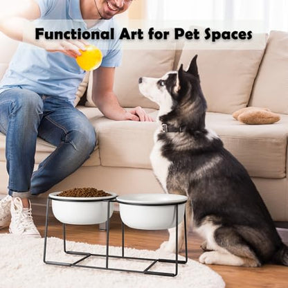 Ceramic Elevated Dog Bowl Set - Raised Double Feeding Bowls with Metal Stand - Pet Dishes for Medium and Large Dogs - 5.8 Cups - 47.3 fl oz - Matte White - color: Matte White, size: XL-800ml