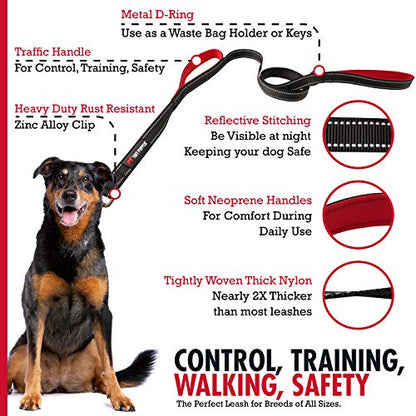 Tuff Pupper Heavy Duty Double Handle Leash | Twist Locking Carabiner Clip | Safety Lock for Strong Dogs | Reflective for Safe Night Walks | 6 Foot Leash | For Medium & Large Dogs - color: Epic Black