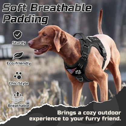 rabbitgoo Tactical Dog Harness Medium Sized Dog, No Pull Military Service Vest with Handle & Molle, Easy Control for Training Walking, Adjustable Reflective Straps, Black, M - color: Black, size: Medium