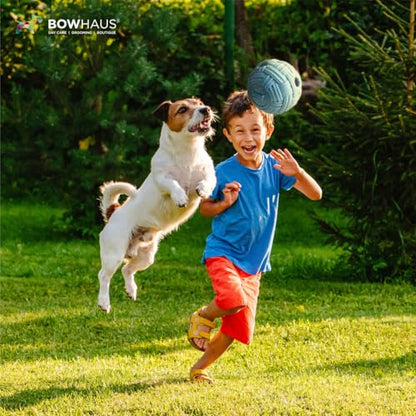 BOWHAUS Knitted Style Giggle Ball for Dog, 5.5 Inch Interactive Treat Dispensing Ball, Indestructible Fun Squeaky Dog Chew Exercise Toy, Non-Toxic Durable PVC Wobble Giggle Toy for Indoor Outdoor Play - style: Treat Ball - Knitted Style