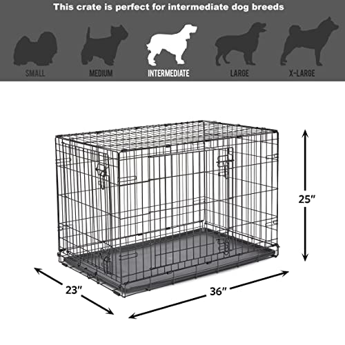 Midwest Homes for Pets 36-Inch New World Crate for Medium-Large Breeds, 41-70 lbs, Double Door Folding Dog Crate, Leak-Proof Tray & Secure Latches, Portable, Durable & Easy to Assemble - size: 36.0"L x 23.0"W x 25.0"H