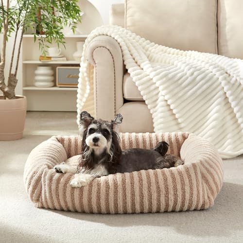 MIXJOY Dog Beds for Small Dogs Cats, Washable Dog Bed with Removable Cover, Soft Calming Cat Bed for Indoor Cats, Rectangle Pet Sofa Bed for Puppy Kitty, Anti-Slip Bottom,20"x19"x6", Beige - color: Beige, size: S(20"Lx19"Wx6"Th)