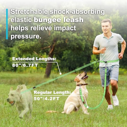 Laqibak Hands Free Dog Leash, Adjustable Waist Leash for Dog Walking, Dual Bungee Dog 4.2-6.7 Feet Long with Reflective Stitches for Walking Hiking Running, Fits 26"- 43" Inch Waist, Green - color: Green