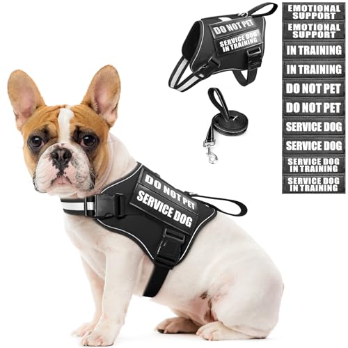Service Dog Vest Harness and Leash Set+10 Patches,No Pull&Easy Walk Reflective Dog Harness with Soft Padded Handle for Training/Everyday,Fit Small/Medium/Large/Extra-Large Dogs (Black S) - color: Black, size: Small