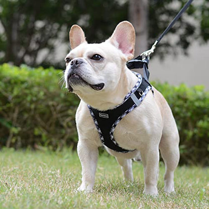 Mercano Soft Mesh Dog Harness and Leash Set, Step-in Reflective Breathable Lightweight Vest Harnesses with Safety Buckle for Small Dogs, Cats (Black White, XS) - color: Black White, size: XS (Chest: 11.2"-13.2")