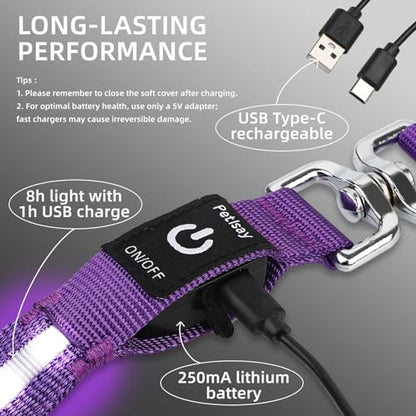 Light up Dog Leash for Night Walking - USB C Rechargeable - Waterproof - Dog Leashes with Flashlight - LED Leash for Dogs - 6Ft, Pink - color: Pink