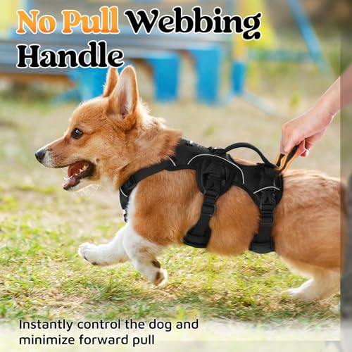 rabbitgoo Escape Proof Dog Harness, Soft Padded Full Body Pet Harness, Reflective Adjustable No Pull Vest with Lift Handle and Leash Clip for Large Dogs Walking Hiking Training, S, Black - color: Black, size: Small (Pack of 1)