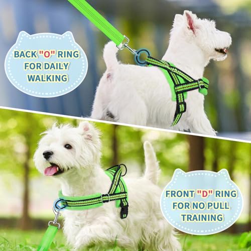 Lukovee No Pull Dog Harness and Leash Set, Soft Padded Small Dog Harness, Neck & Chest Adjustable Reflective Vest Puppy Harness with 4ft Lightweight Anti-Twist Dog Leash for Small Dogs (XXS, Green) - color: Green - with Stripe, size: XXS ( Chest 11.5'' ~