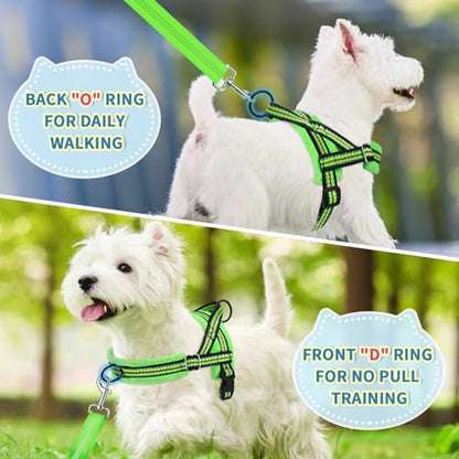 Lukovee Soft Padded Small Dog Harness (X-Small, Green) with 4ft Lightweight Leash, Adjustable Reflective Vest for Walking, Running, Hiking, Training - color: Green - with Stripe, size: XS ( Chest 14'' ~ 18'')
