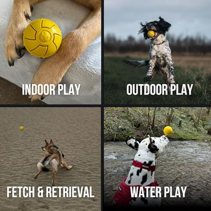 Fenrir - Dog Ball - High Bouncing Yellow Rubber for Fetch & Recall - 2.5 Inch Durable Floating Dog Toy - Water Retrievable Interactive Ball for All Breeds (Medium) - size: 2.5 inches