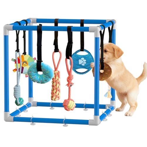 Puppy Play Gym with 8 Hanging Toys Indoor Play Gym Interactive Dog Toys for Boredom Enrichment Activity for Small Dog Teething PVC Frame Stretchy Rope with Velcro (Blue,19.6 x 19.6 x 19.6 inch) - color: Blue/8 toys/19.6"x19.6"x19.6"