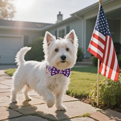 ADOGGYGO American Flag Dog Collar with Bow, Detachable Red Blue Star Puppy Bowtie, Metal Buckle, Adjustable Patriotic 4th of July Collars for Small Dogs Boy Girl (X-Small) - color: American Flag, size: X-Small
