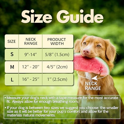 Cute Dog Collar, Summer Watermelon Print Reflective Padded Collar with Soft Neoprene, Adjustable Lightweight Pet Collar for Small Dogs, Puppies,Neck Size 9’’-14’’ (Watermelon, S) - color: Watermelon, size: S (Neck 9''– 14'')
