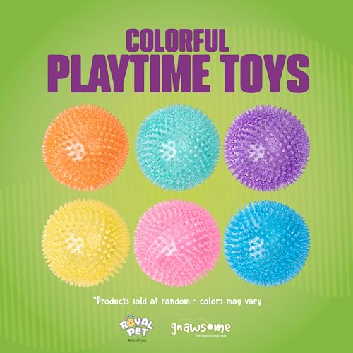 Gnawsome Medium Squeaker Ball Dog Toy, Medium 3.5", Colors will vary, All Breed Sizes - size: Medium