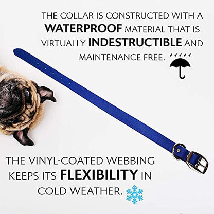 Regal Dog Products Small Blue Waterproof Dog Collars with Custom Engraved Name Plate | Vinyl Coated, Anti, Easy to Clean Personalized Biothane Dog Collar - Other Sizes for Medium & Large Dogs - color: Blue, size: Small Collar