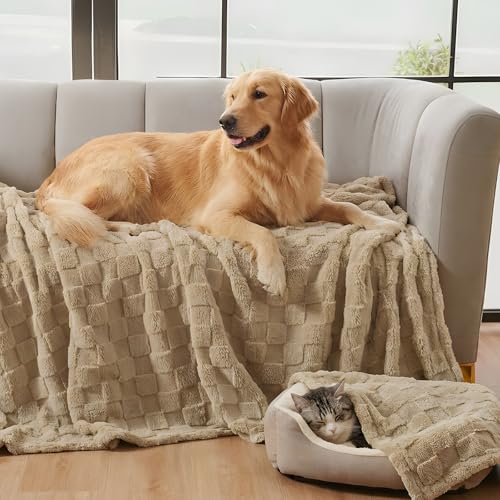 David's Home Large Dog Blankets Washable Pet Bed Cover, Soft Fluffy Fuzzy Cat Puppy Blanket with Premium 300GSM Fleece for Pet Kitten Doggy, Pale Khaki, 50x60IN - color: Pale Khaki, size: Throw