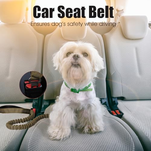 BUMBIN 6Ft Dog Leash, Bungee Dog Leash with 2 Handles, Heavy Duty Leashes for Medium Small Dogs, No Pull Shock Absorbing with Car Seat Belt for Training, Green - color: Green