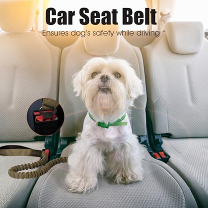 BUMBIN 6Ft Dog Leash, Bungee Dog Leash with 2 Handles, Heavy Duty Leashes for Medium Small Dogs, No Pull Shock Absorbing with Car Seat Belt for Training, Green - color: Green
