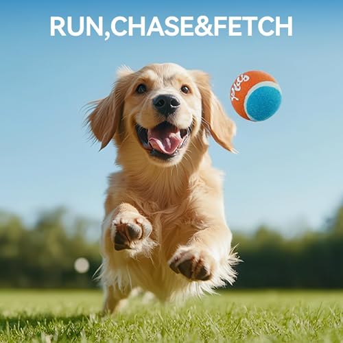 ALL FOR PAWS 2.5" Tennis Balls for Dogs, Dog Balls for Ball Launcher Toy, Bouncy & Durable Fetch Balls for Medium Large Dogs, 4 Pack Fetch Toy for Outdoor Play - size: 2.5"ball