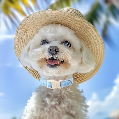 Boy Dog Collar Blue Gingham Dog Collars for Puppy Small Dogs - Lightweight Adjustable Spring/Summer Plaid Male Female Dogs Everyday Collar with Safety Buckle XS - color: Blue Gingham, size: XS