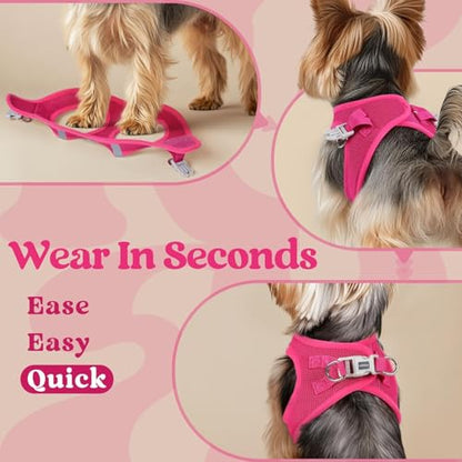 rabbitgoo Small Dog Harness, Step-in Soft Mesh Puppy Vest with Safety Buckle, Breathable Reflective Pet Harness for Small Medium Dogs, Rose Red L - color: Rose Red, size: L(chest:18.2"-20.5")