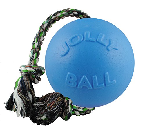 Jolly Pets Romp-n-Roll Rope and Ball Dog Toy, 8 Inches/Large, Blueberry, All Breed Sizes - color: Blueberry, size: Large (8 in)