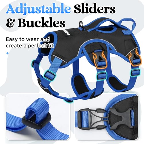 rabbitgoo Escape Proof Dog Harness Large Dogs, Soft Padded Full Body Pet Harness, Reflective Adjustable No Pull Vest with Lift Handle and Leash Clip for Walking Hiking Training, Blue & Black, M - color: Blue & Black, size: Medium (Pack of 1)
