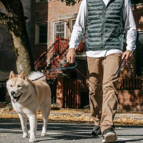 Double Handle Dog Leash for Large Dogs, Heavy Duty Adjustable Leash with Soft Padded Handles, Traffic Control Training Lead for Walking, Running (Blue & Orange Stripe, 4 ft)