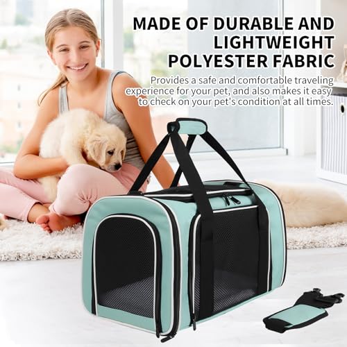 Cat Dog Carriers Soft-Sided, Pet Travel Carrier for Small Cats Dogs Under to15lbs, Soft-Solid Collapsible Carrier,(Medium,Green) - color: green, size: 17.0"L x 11.0"W x 11.0"H