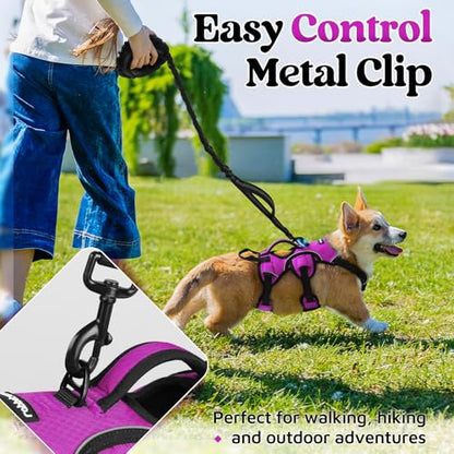 rabbitgoo Escape Proof Dog Harness, Soft Padded Full Body Pet Harness, Reflective Adjustable No Pull Vest with Lift Handle and Lesh Clip for Large Dogs Walking Hiking Training, S, Purple - color: Purple, size: Small (Pack of 1)
