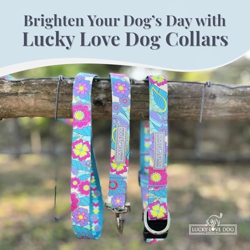 Lucky Love Dog Collars, Cute Small Dog Collars for Female Dogs, Part of Purchase Donated to Rescue, Caroline, Small - color: Caroline Collar Only, size: Small | 10-15"