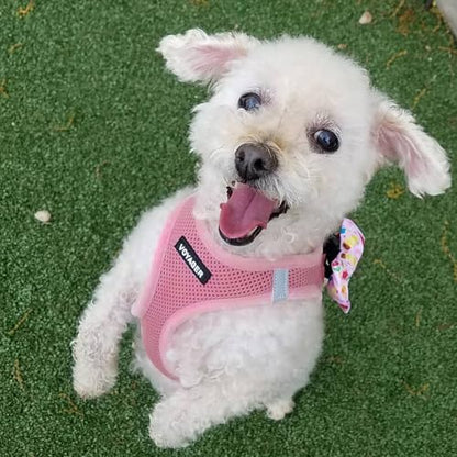 Best Pet Supplies Voyager Step-in Air All Weather Mesh Harness and Reflective Dog 5ft Leash Combo with Neoprene Handle, for Small, Medium and Large Breed Puppies - Set (Pink), X-Small - color: Harness Leash Set (Pink), size: XS (Chest: 13 - 14.5")