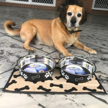 Loving Pets Bella Dog Bowls- Stainless Steel Dog & Cat Bowls - Spill Proof Dog Food Bowl, Cat Bowl, Puppy Essentials & Pet Supplies Great for Home & Travel (X-Large 65-100lbs, Espresso) - color: Espresso, size: X-Large (65-100lbs)