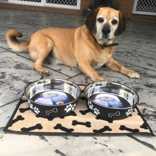Loving Pets Bella Dog Bowls- Stainless Steel Dog & Cat Bowls - Spill Proof Dog Food Bowl, Cat Bowl, Puppy Essentials & Pet Supplies Great for Home & Travel (Small 10-20 lbs, Espresso) - color: Espresso, size: Small (10-20lbs)
