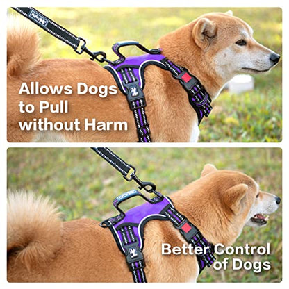 PoyPet No Pull Dog Harness, No Choke Front Clip Reflective Dog Vest with Soft Padded Vertical Handle, 3 Leash Attachments for Small Medium Large Dogs (Purple,L) - color: Purple, size: Large