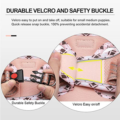 Mercano Soft Mesh Dog Harness and Leash Set, Step-in Reflective Breathable Lightweight Vest Harnesses with Safety Buckle for Small Dogs, Cats (Champagne, XXS) - color: Champagne, size: XXS (Chest: 9.5"-11.2")