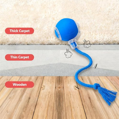FUNNYDUCK Speed 2.0 Tail Interactive Cat Toys for Indoor Cats – Smart Motion-Activated Rolling Ball with Tail, Chirping Sounds, and USB Rechargeable Design for Enrichment & Exercise - color: Blue tail