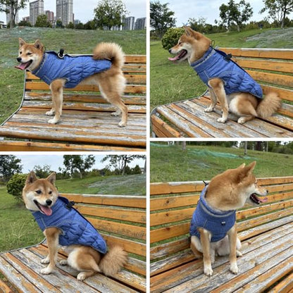 Dog Coat, Reflective Dog Jacket Waterproof Windproof Puppy Cold Weather Coats with Harness Built in, Winter Extra Warm Pet Coat Fleece Vest for Small Large Pets and Puppy (Blue, Large) - color: Blue, size: Large