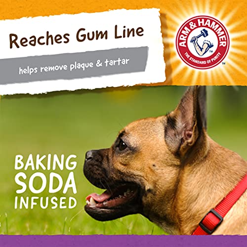 Arm and Hammer for Pets Super Treadz Mini Gator Dental Chew Toy for Dogs - Reduces Plaque and Tartar Without Brushing, Baking Soda Infused, Dishwasher Safe, Dogs Up to 25 Lbs - size: Small (Pack of 1), style: Gator