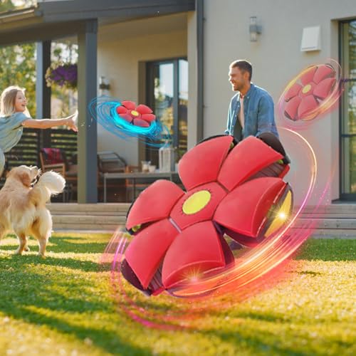 Dog Flying Disc Toy, Flying Saucer Ball for Dogs, Outdoor Games Red+Pink 2PCS - color: Red+Pink