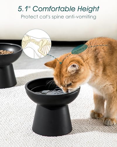 vancasso Ceramic Elevated Cat Bowls 2-Pack - 6.2" Extra Wide Raised Cat Food & Water Dishes, 5.1" Optimal Height Anti-Whisker Fatigue Shallow Bowls for Cats/Kittens/Dogs, Lead & Cadmium Free (Black) - color: Black