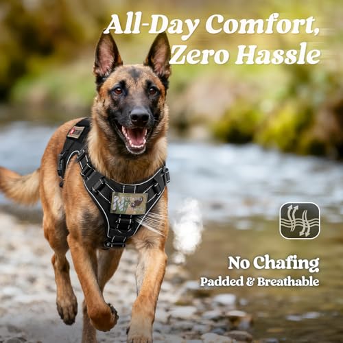 rabbitgoo Tactical Dog Harness Medium Sized, No Pull Upgraded Reflective Heavy Duty Molle Vest with Handle, Adjustable Military Service Dog Vest for Walking Hiking Training, Black, M - color: Black Reflective, size: Medium