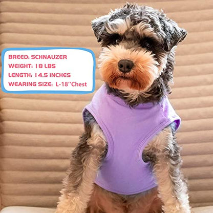 KYEESE 2Pack Dog Shirt, Soft Striped Dogs T Shirts, Lightweight Doggie Tank Top Cat Clothes, Sleeveless Dog Shirt for Small Dogs, Stretchy Pet Vest, Purple+Blue Striped, Medium - color: 04# 2Pack (Purple+Purple Striped), size: Medium (7-13lbs)