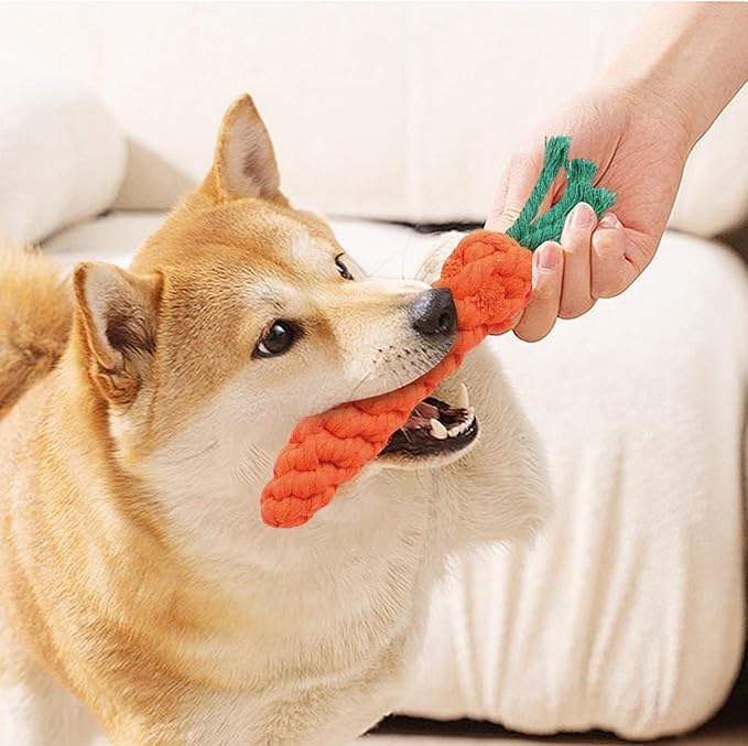 Dog Rope Toys for Small Dogs Aggressive Chewers, 100% Natural Cotton, 6 Pack for Fun and Teeth Cleaning Chew Tug of War Interactive Training Rope Toys for Puppy to Small Dogs