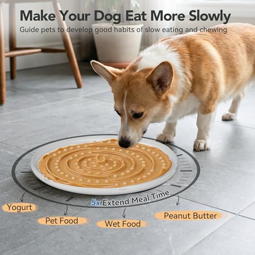 3L No Spill Dog Water Bowl (101oz) – Slow Drinking Pet Bowl with Replaceable Filter & Slow Feeder Mat, Splash Proof Travel Bowl for Large Dogs Cats, Car & Home Use – Grey